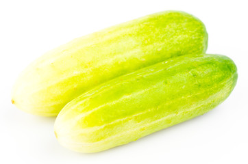 Cucumber