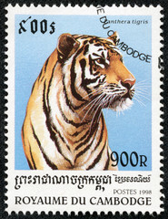 stamp printed in Cambodia shows panthera tigris