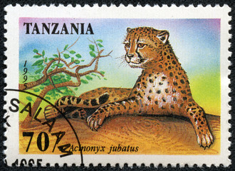 stamp printed in Tanzania shows an African animal - Leopard