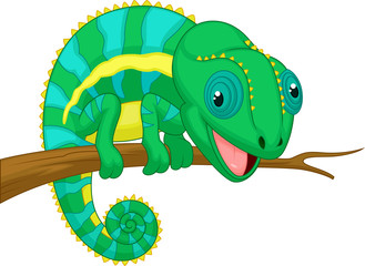 Cute chameleon cartoon © tigatelu