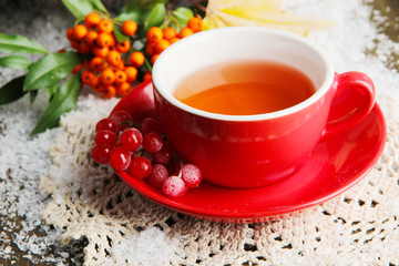 Still life with  orange viburnum  tea in cup, berries and snow,
