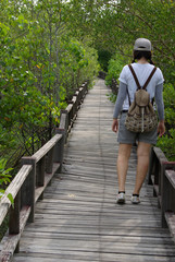 Fototapeta na wymiar A girl walking away towards a forest on a wooden