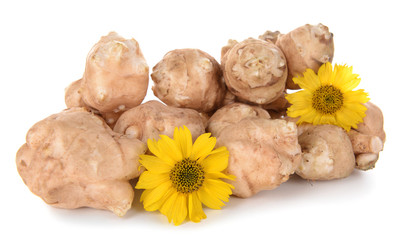 Topinambur roots isolated on white