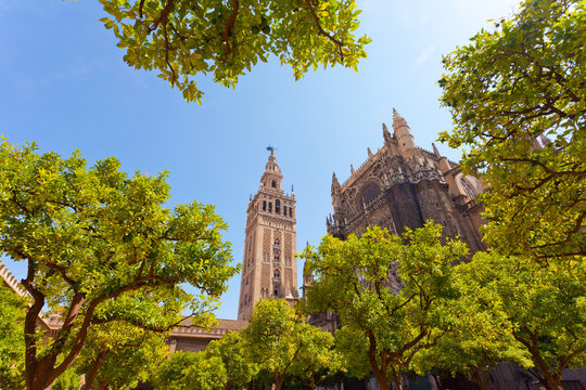 Cathedral and GIralda Tower, Seville, Spain