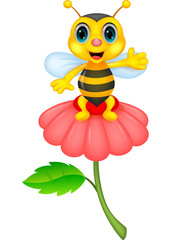 Cute little bee on red flower