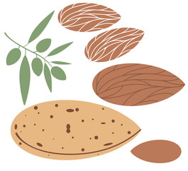 Almond