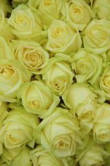 Yellow roses in a wedding arrangement