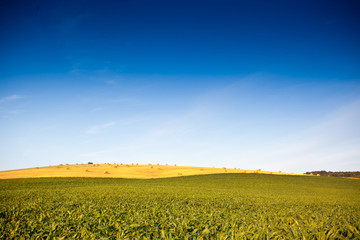 Straw bales © Csák István