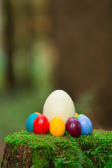 Baumstamm Nandueier Ostereier11