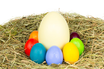 Obraz premium Ostereier Nanduei im Heu 2