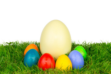 Ostereier Nanduei Wiese 4