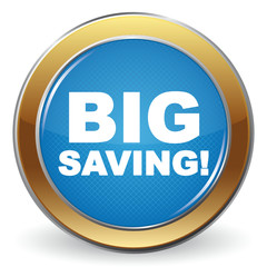 BIG SAVING! ICON