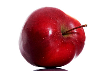 One red apple over white.