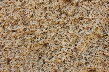 shell rock texture
