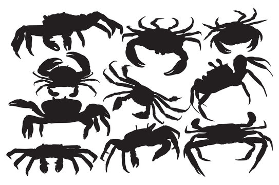 Vector crab silhouette