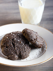 Chocolate and coconut biscuits