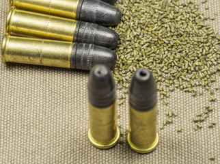 .22 caliber Long rifle  with smokeless powder on canwas