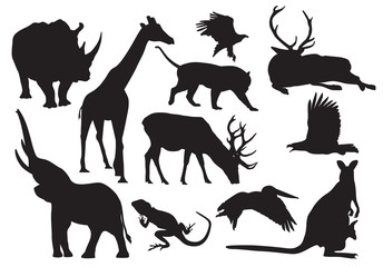 animals silhouettes
