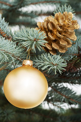 Christmas ball and cone handing on a tree.