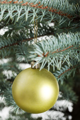 Obraz na płótnie Canvas Christmas ball hanging on a tree.