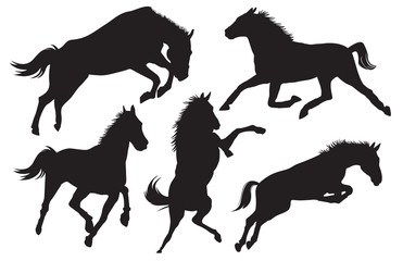 vector horse silhouette