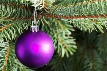 Christmas ball handing on a tree.