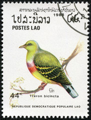 stamp features an Orange-breasted Green Pigeon