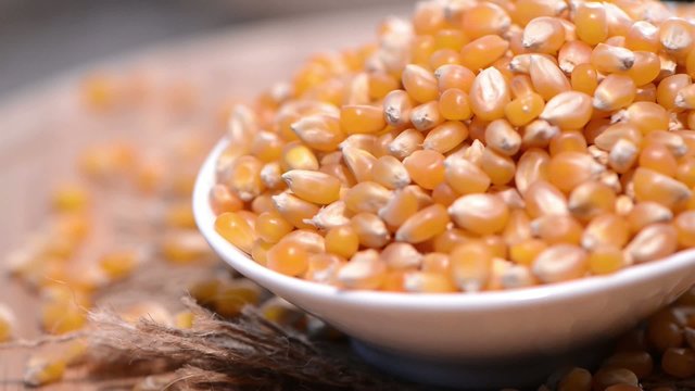 Dried Sweetcorn Seeds (Loopable HD Video)