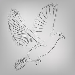 Vector sketched dove