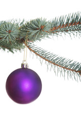 One separate christmas ball hanging on a fir.
