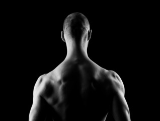 Back Muscles
