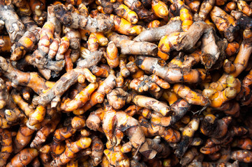 Turmeric
