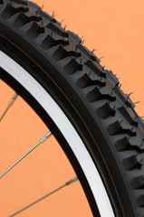 bicycle wheel