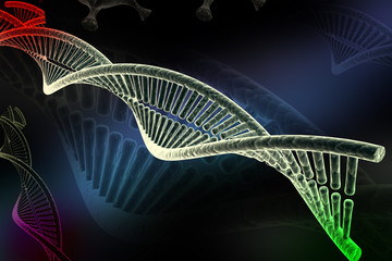 model of twisted DNA chain