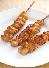 Delicious Asian Cuisine Chicken Satay