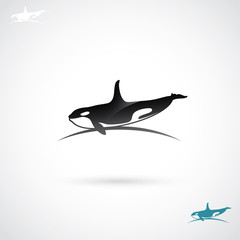 Orca label