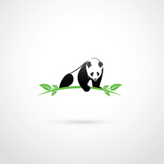 Naklejka premium Panda symbol