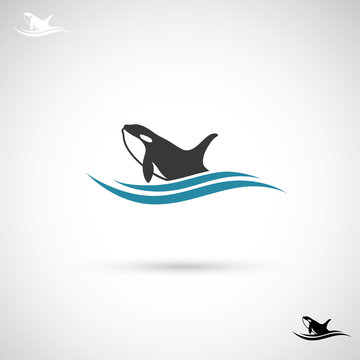 Orca whale label