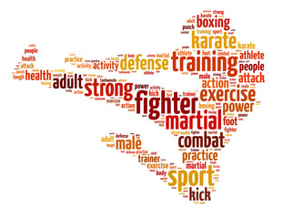 Words illustration of a martial arts fighter