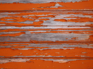 Obraz premium Wood texture