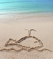The whale - a picture on sand