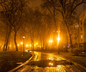 foggy evening in the park