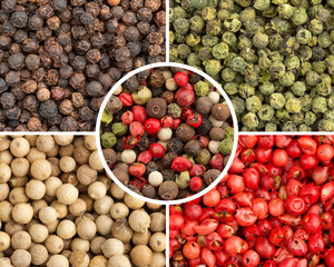 varieties of peppercorns