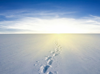 white snow desert