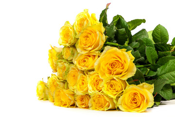 Group of fresh yellow roses