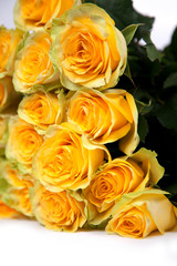 Group of fresh yellow roses