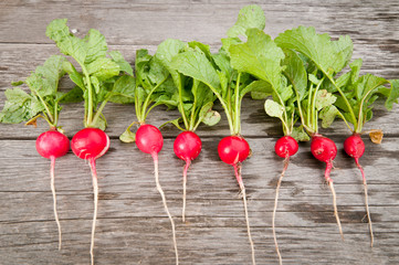 Radish