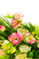 spring flowers background on white background