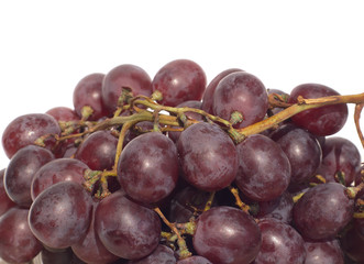 Red grape bunch isolated on white close up