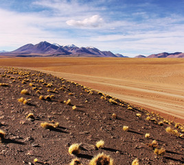 Altiplano desert - 58710310